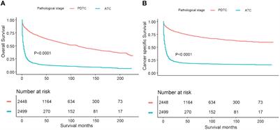 Comparative study between poorly differentiated thyroid cancer and anaplastic thyroid cancer: real-world pathological distribution, death attribution, and prognostic factor estimation